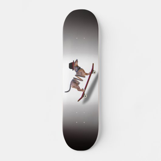 Dackel Hund Skateboarder Skateboard (Vorderseite)