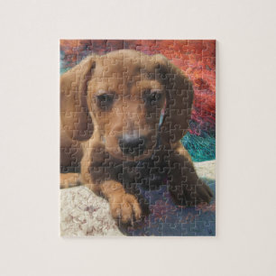 Dackel - Hunde Kunst - Malerei - Haustierportrait Puzzle