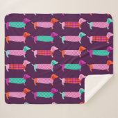 Dackel Hunde: Nahtloses Niedliches Muster. Sherpadecke (Vorderseite (Horizontal))