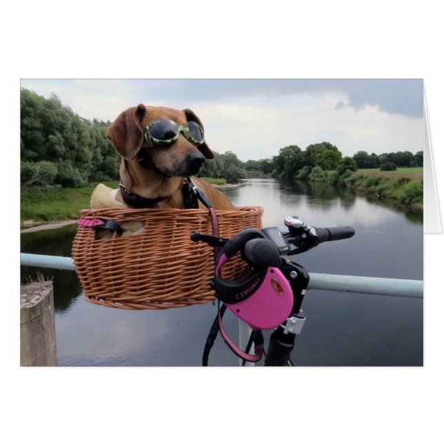 Dackel Hunde Reiten im Bike Basket Funny (Vorderseite (Horizontal))