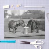 Dackel Hunde trinken Bier Seidenpapier (Handwerk)