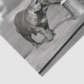 Dackel Hunde trinken Bier Seidenpapier (Ausschnitt)