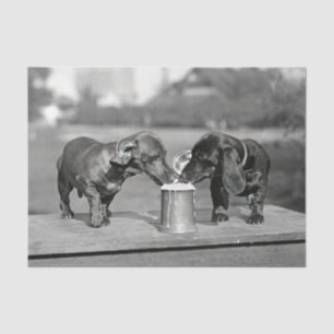 Dackel Hunde trinken Bier Seidenpapier