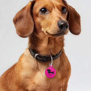 Dackel-ID-Tags Personalisiert Rosa Haustiermarke