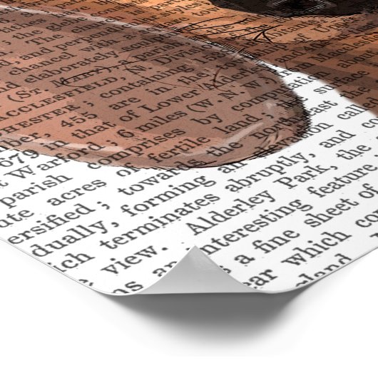 Dackel Illustration Schlicht Poster (Ecke)