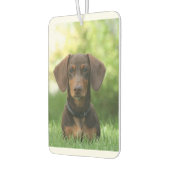 Dackel im Gras Autolufterfrischer (Links)