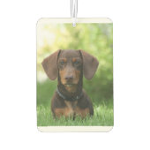 Dackel im Gras Autolufterfrischer (Rückseite)