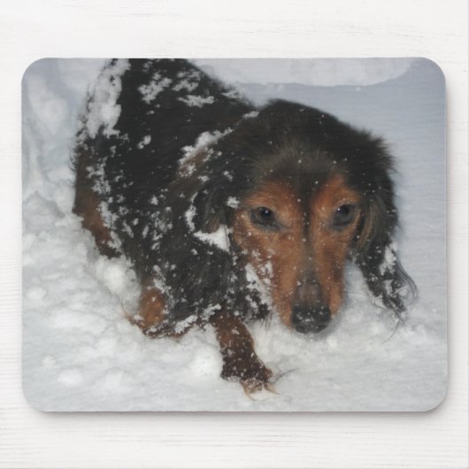 Dackel im Schnee Mousepad (Vorne)