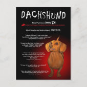 Dackel in 3D Postkarte (Vorderseite)