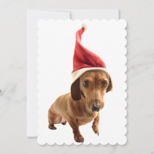 Dackel in der Weihnachtsmannmütze Feiertagskarte (Vorderseite)