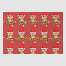 Dackel in der Weihnachtsmannmütze Weihnachten Seidenpapier
