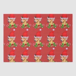 Dackel in der Weihnachtsmannmütze Weihnachten Seidenpapier