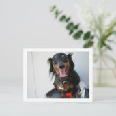 Dackel in einem Trinkbrunnen Postkarte (Stehend Vorderseite)