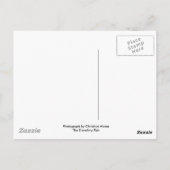 Dackel in einem Trinkbrunnen Postkarte (Rückseite)