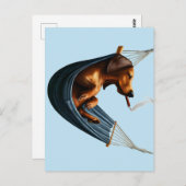 Dackel in Hammock Postkarte (Vorne/Hinten)