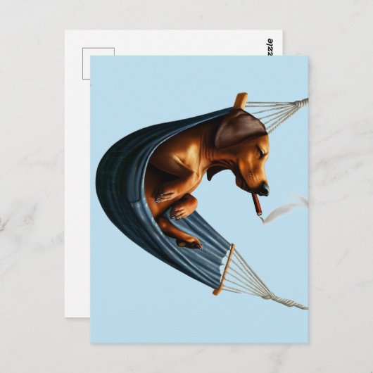 Dackel in Hammock Postkarte (Vorne/Hinten)