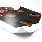 Dackel in meinem Pocket Weiner Hund Fotodruck (Ecke)