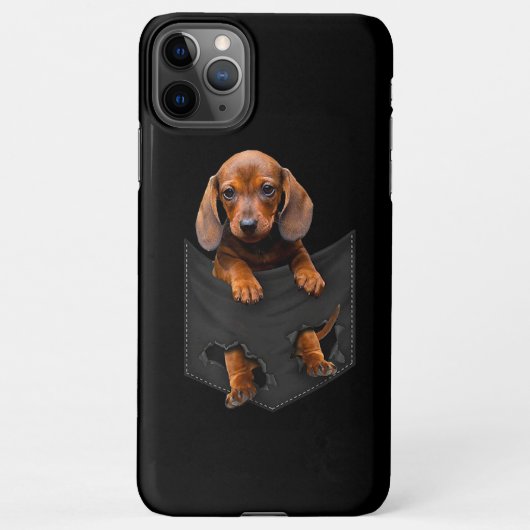 Dackel in meiner Pocket Dackel Weiner Dog Geschenk iPhone Hülle (Rückseite)