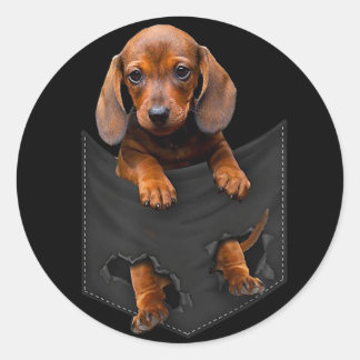 Dackel in meiner Pocket Dackel Weiner Dog Geschenk Runder Aufkleber