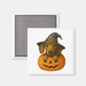 Dackel in Pumpkin Magnet (Vorderseite/Rückseite)