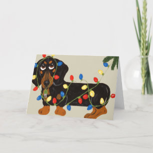 Dackel in Weihnachtslichtern verheddert Schwarz/Br Feiertagskarte