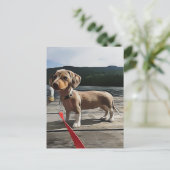 Dackel ist besser mit Dackel zum Geburtstag Postkarte (Stehend Vorderseite)