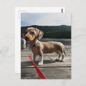 Dackel ist besser mit Dackel zum Geburtstag Postkarte (Vorne/Hinten)