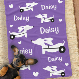 Dackel IVDD Rollstuhl Lila Rollstuhl Rollschuh Fleecedecke