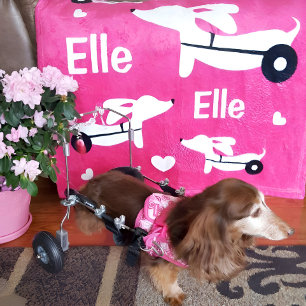 Dackel IVDD Rollstuhlfahrer Dackel Hund rosa Schup Fleecedecke