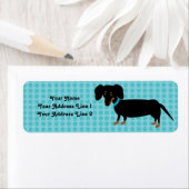 Dackel Junge mit rosa Punkten Hintergrund (Insitu)