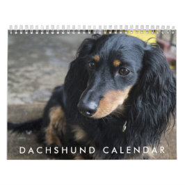 Dackel - Kalender 2016