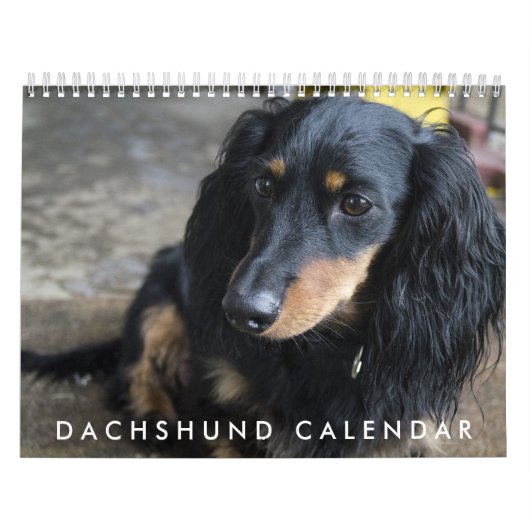 Dackel - Kalender 2016 (Titelbild)