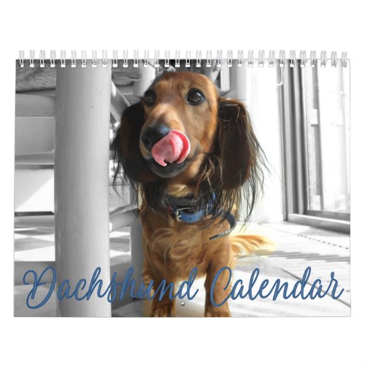 Dackel Kalender 2023 Angepasste Fotos (Titelbild)