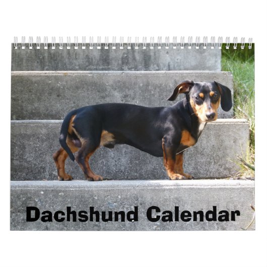 Dackel Kalender 2023 Fotos hinzufügen (Titelbild)