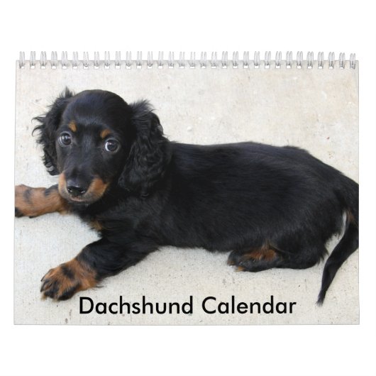 Dackel Kalender 2023 Personalisierte Fotos (Titelbild)