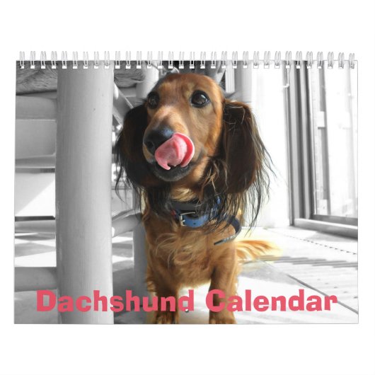 Dackel Kalender 2026 Fotos hinzufügen (Titelbild)