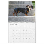 Dackel Kalender 2026 mit Fotos (Jan 2027)