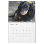 Dackel Kalender 2026 mit Fotos (Feb 2027)