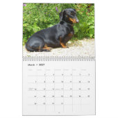 Dackel Kalender 2026 mit Fotos (Mär 2027)