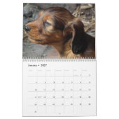 Dackel Kalender 2026 mit Fotos (Jan 2027)