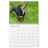 Dackel Kalender 2026 mit Ihren Fotos (Feb 2027)