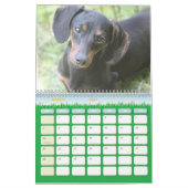 Dackel-Kalender Kalender (Mär 2027)