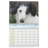 Dackel-Kalender Kalender (Feb 2027)