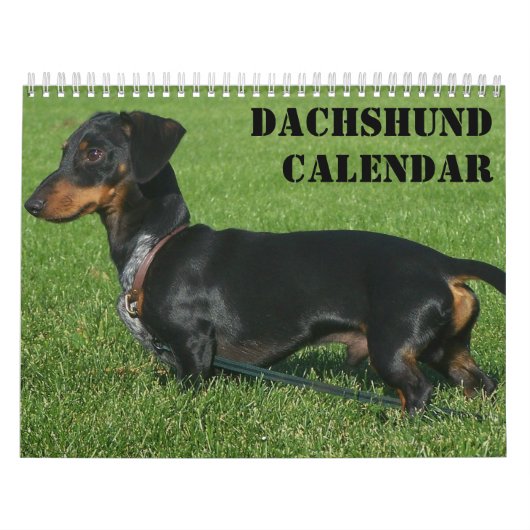 Dackel Kalender mit Ihren Fotos (Titelbild)
