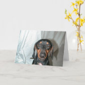 Dackel Karte (Gelbe Blume)