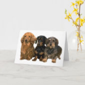 Dackel Karte (Gelbe Blume)