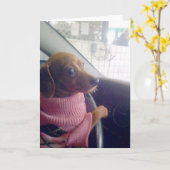 Dackel-Karte Karte (Gelbe Blume)