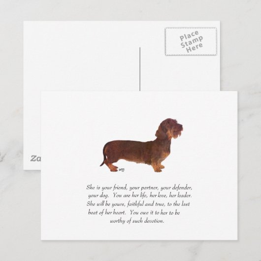 Dackel Keepake — Weiblich Postkarte (Vorne/Hinten)
