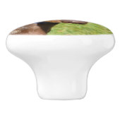 Dackel Keramikknauf (Seitenansicht)