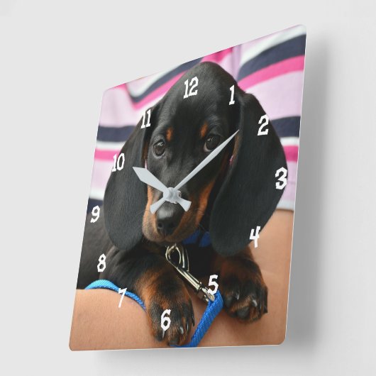 Dackel Klappenhalterung Quadratische Wanduhr (Winkel)